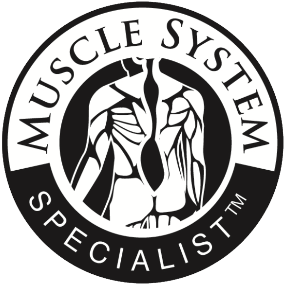 muscle system specialist