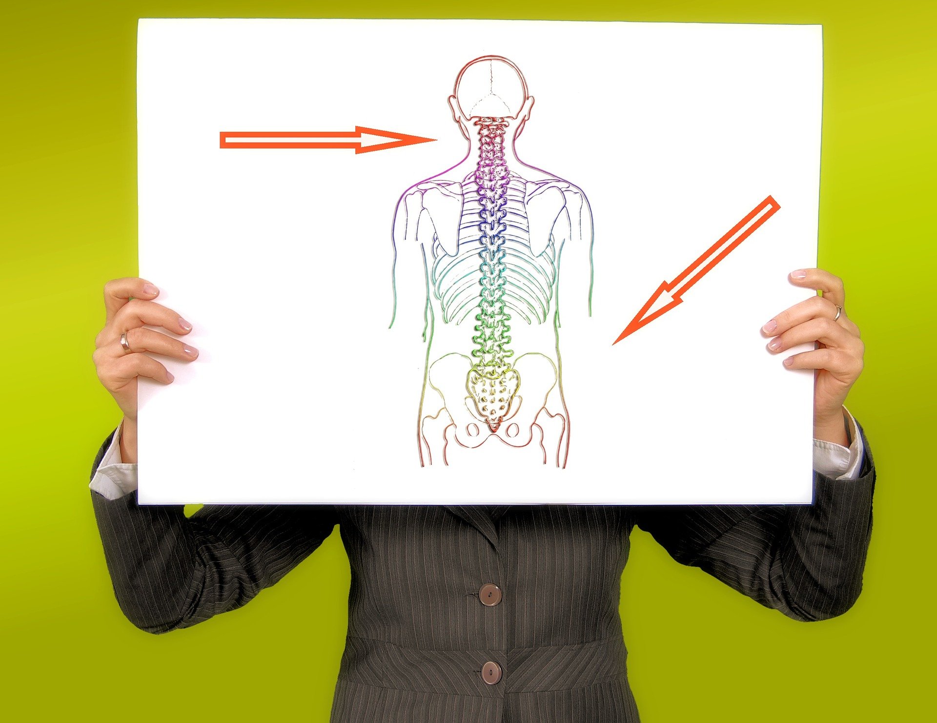 Spine